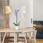 Luxury Seafront 2-bedroom In Center